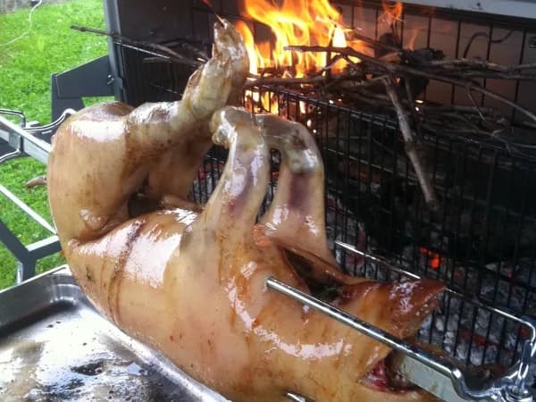 Cochon de lait qui dore sur la grille au-dessus des flammes